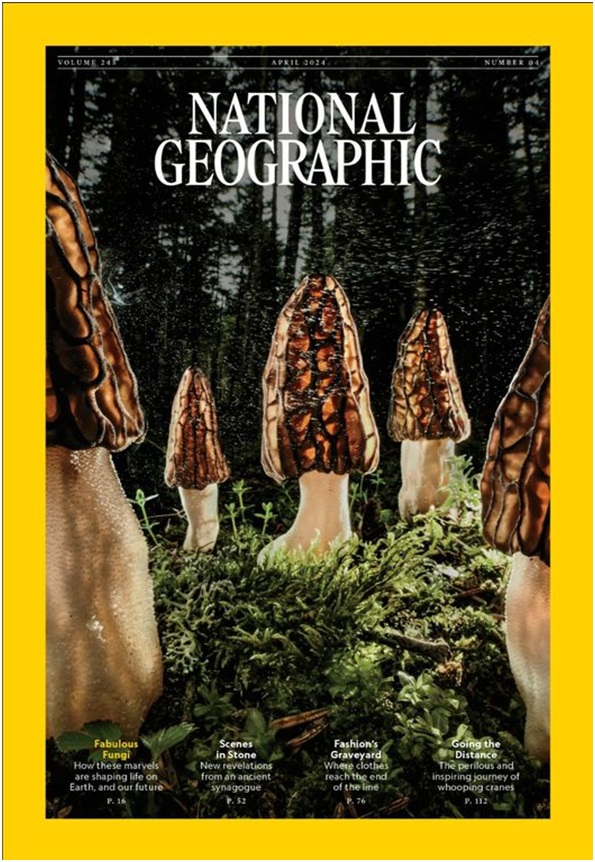 Το εξώφυλλο του National Geographic με τη φωτογραφία του Αγοραστού Παπουτσάνη. 